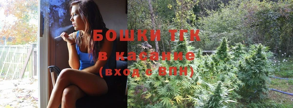 дмт Аркадак